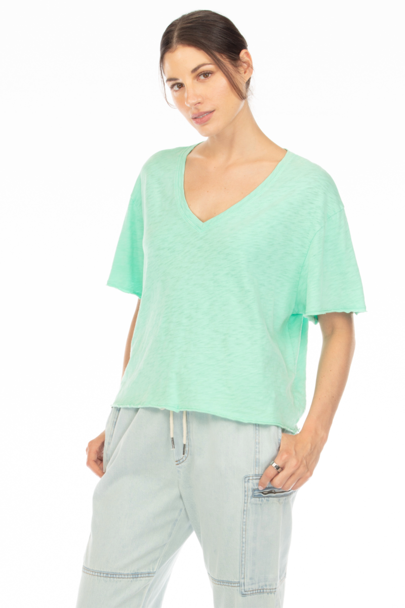 CHARLIE V-NECK SHORT SLEEVE BOYFRIEND TEE