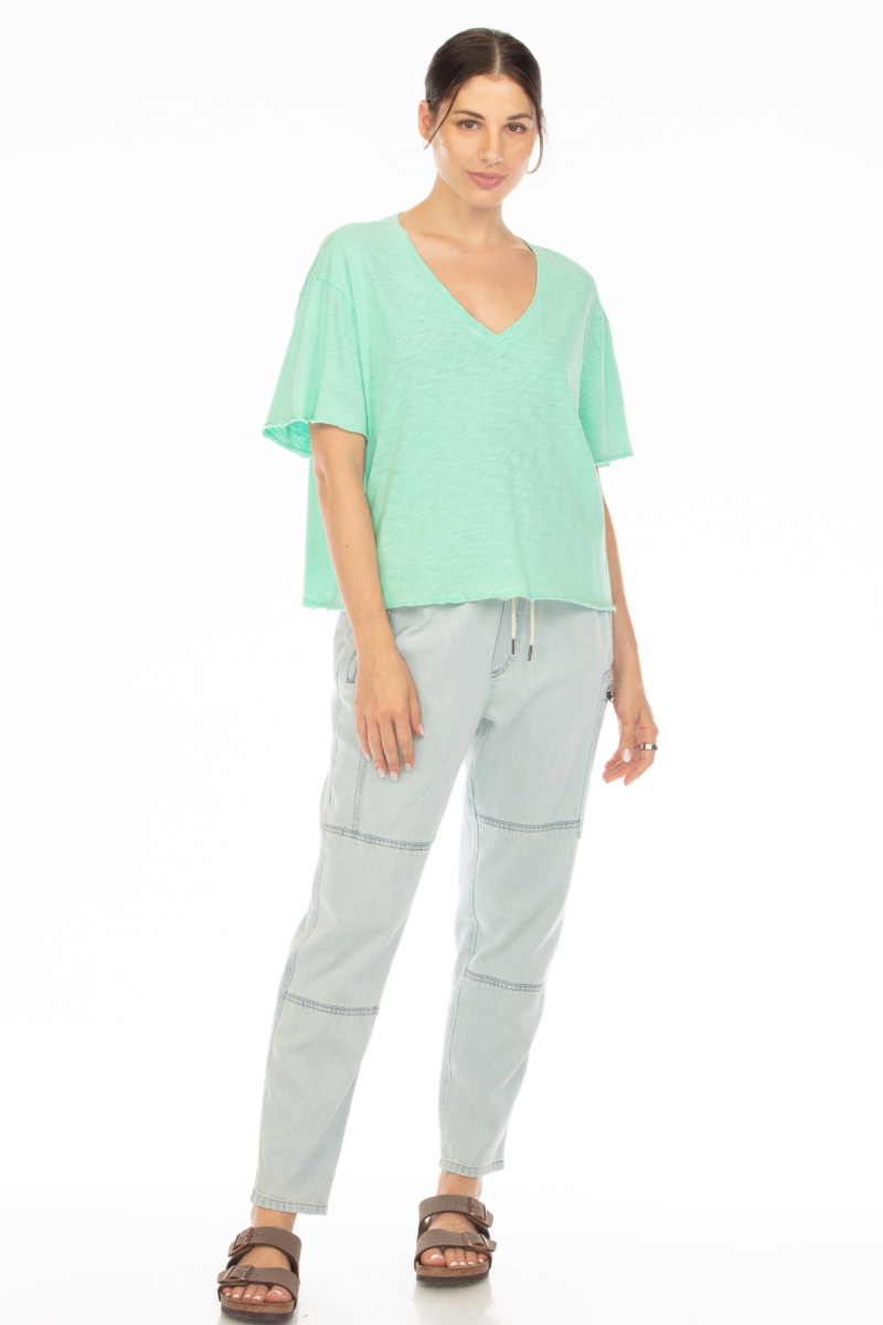 CHARLIE V-NECK SHORT SLEEVE BOYFRIEND TEE