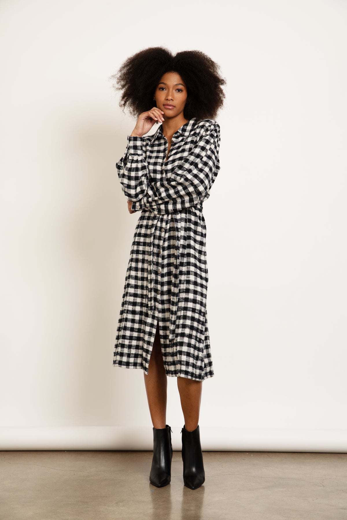SEAMED BUTTON UP DRESS