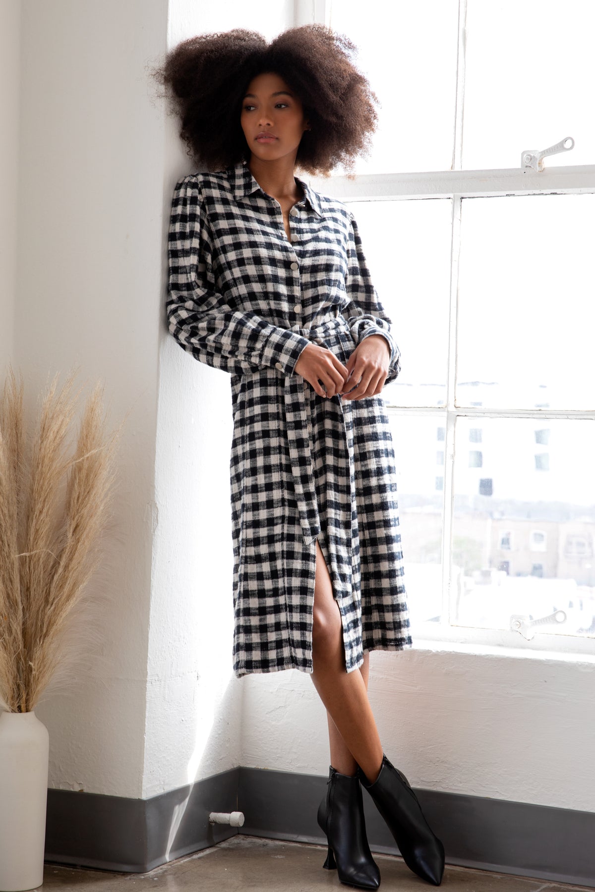 SEAMED BUTTON UP DRESS